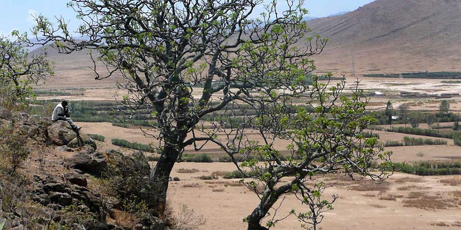 Dagegen soll nach dem Klimamodell in gemässigten Zonen der Niederschlag ausbleiben.