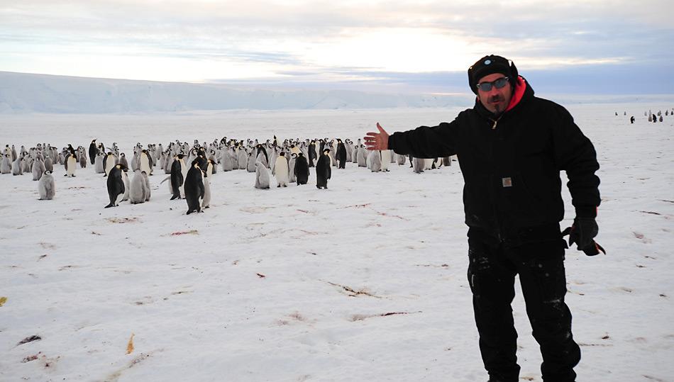Der Chefmechaniker Kristof Soete war einer der drei ersten Menschen welche die 9000 zählende Kaiserpinguinkolonie zu sehen bekam. Bild: International Polar Foundation.