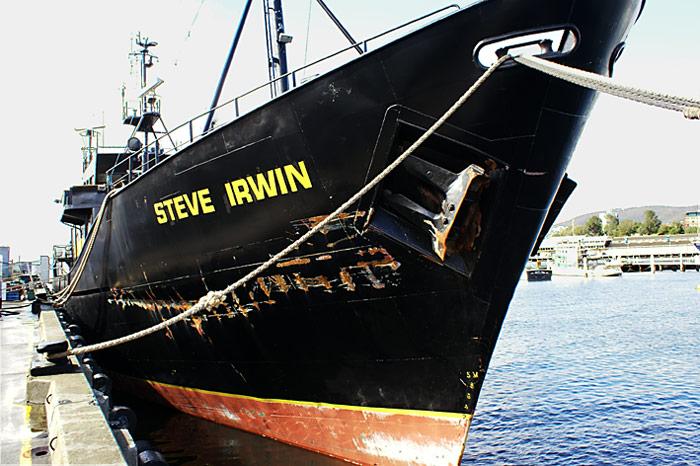 Steve-Irwin
