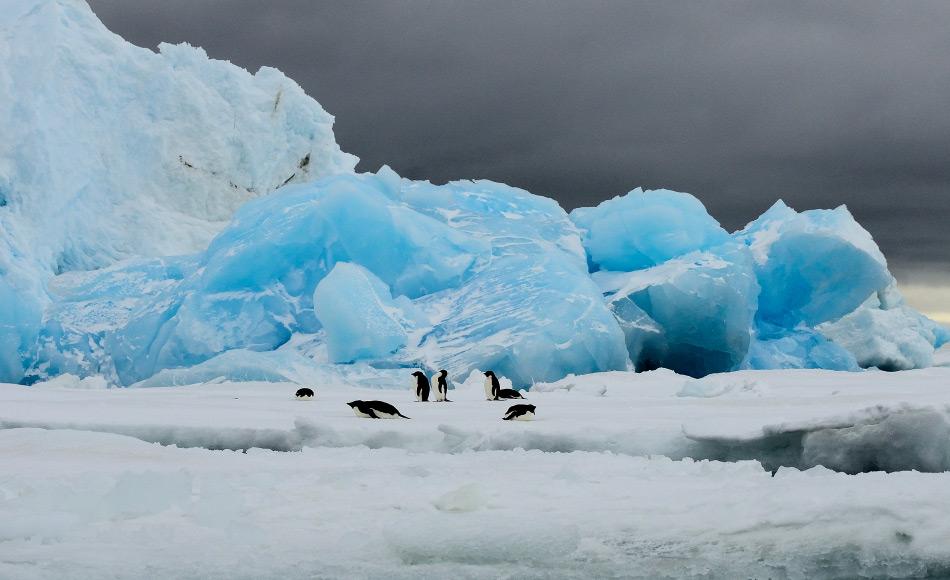 Die Antarktis zieht jedes Jahr über 35‘000 Besucher aus aller Welt in ihren Bann. Die meisten Touristen reisen per Schiff zur antarktischen Halbinsel, um Pinguin & Co. bewundern zu können. Bild: Michael Wenger