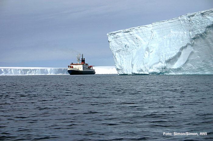 Polarstern-Eisberge