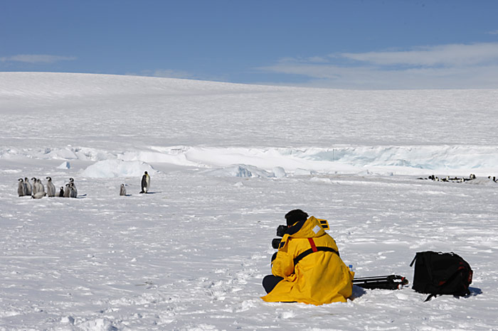 PolarNEWS_Kaiserpinguine_Snowhill_030