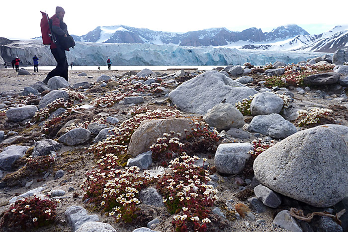 027_spitzbergen_2010