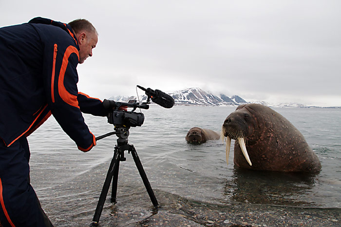 044_spitzbergen_2010