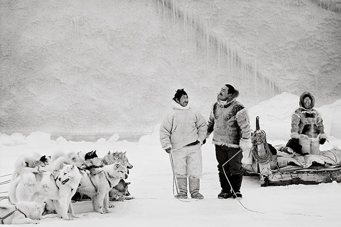 Husky-Inuit